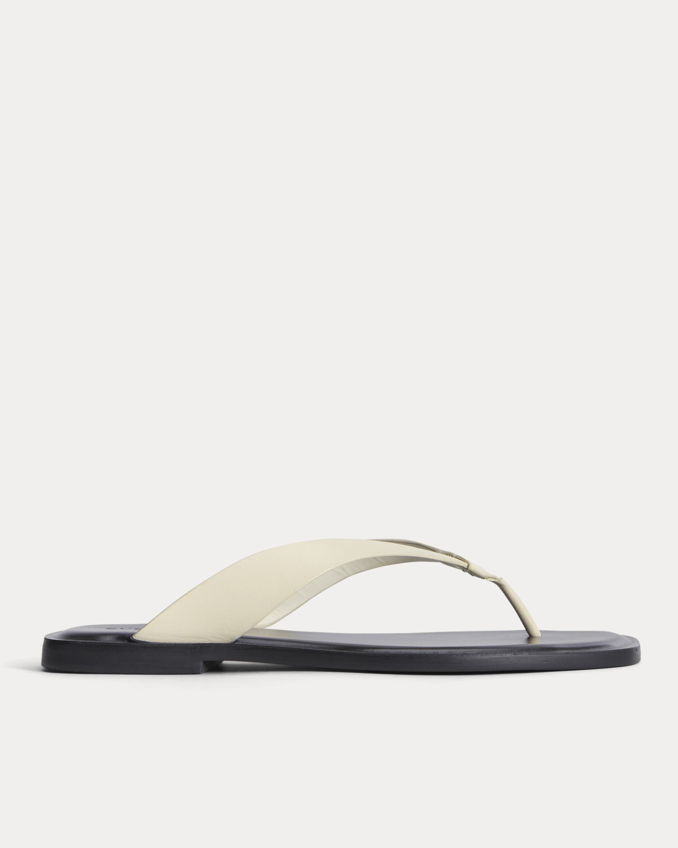 everlane, 