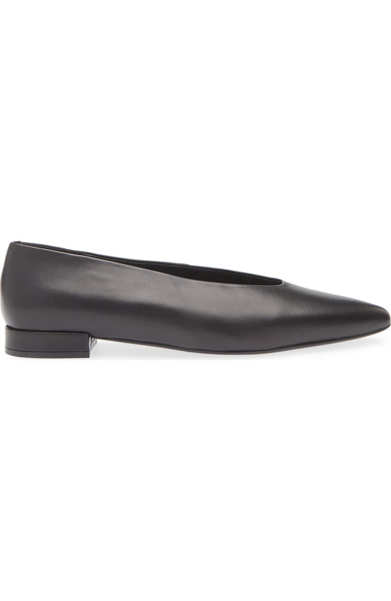 Hinted Pointed Toe Flat